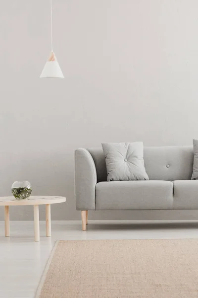 Grey Lounge Real Photo Bright Living Room Interior White Lamp — Stock Photo, Image