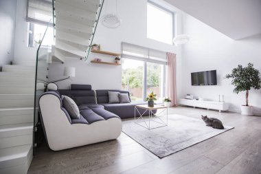 Modern oturma odası iç köşe kanepe, merdiven, Tv ve balkon penceresi ile kedi. Gerçek fotoğraf