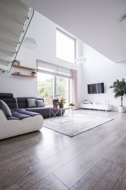 Köşe koltuk ve halı bitki ve pencere ile beyaz ev iç ahşap zemin üzerinde. Gerçek fotoğraf