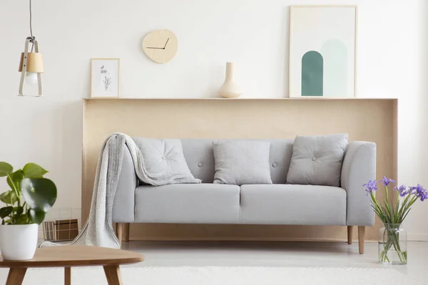 Blanket Pillows Grey Sofa White Living Room Interior Flowers Poster — Stock Photo, Image
