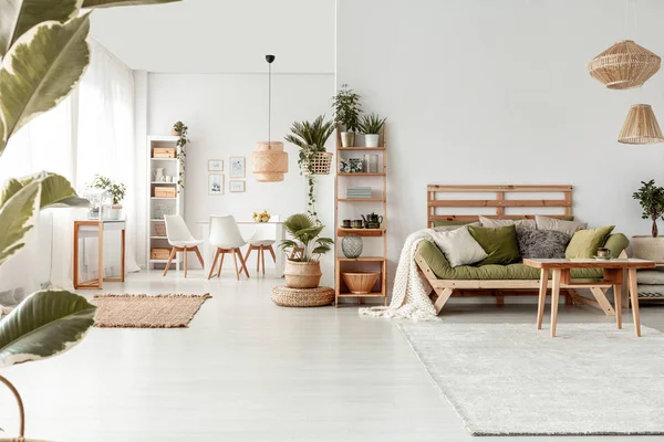 Houten Tafel Voor Groene Bank Ruime Woonkamer Interieur Met Planten — Stockfoto