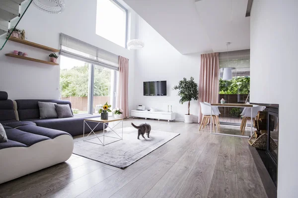 Echtes Foto Eines Geräumigen Wohnzimmers Mit Ecksofa Katze Plattenboden Kamin — Stockfoto