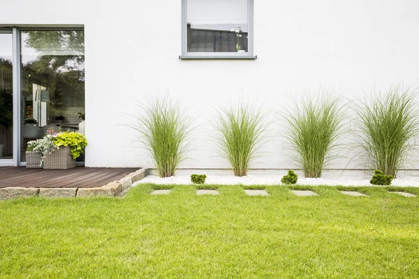 Giardino Con Erba Verde Quattro Cespugli Accanto Una Casa — Foto Stock