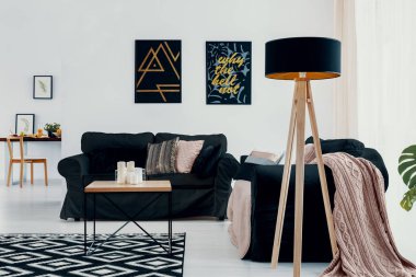 Lamba posterler ve halı ile beyaz düz iç pembe battaniye karanlık kanepenin yanındaki. Gerçek fotoğraf