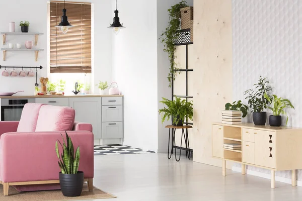 Plants Wooden Cupboard White Flat Interior Pink Sofa Next Kitchenette — Stock Photo, Image