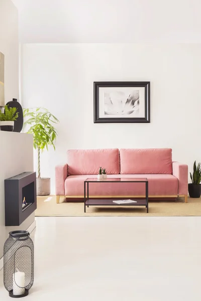 Pink couch against white wall with poster in bright living room interior with plants. Real photo