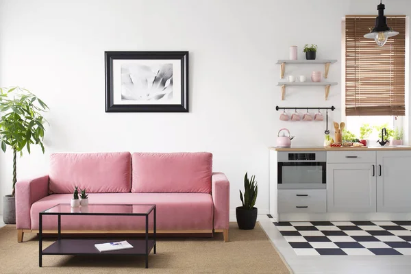 Canapé Rose Entre Les Plantes Dans Intérieur Appartement Blanc Avec — Photo