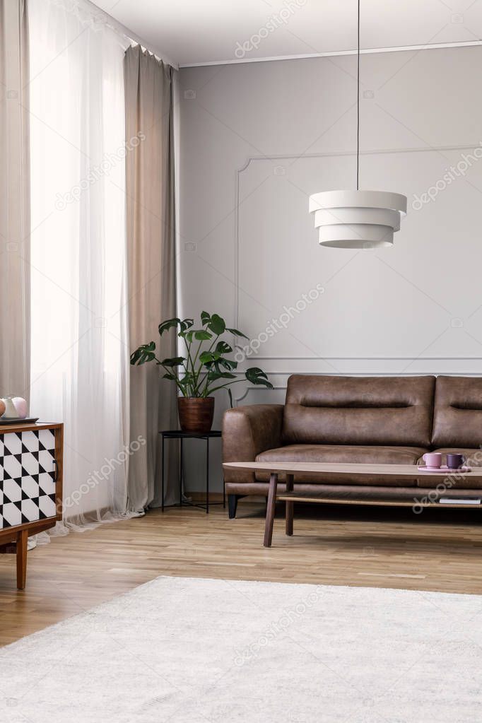 Real photo of leather lounge standing in bright living room interior with window with drapes, carpet on wooden floor and fresh Monstera Deliciosa plant on end table
