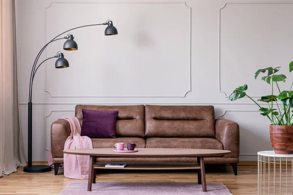 Black Lamp Plant Table Retro Living Room Interior Leather Settee — Stock Photo, Image