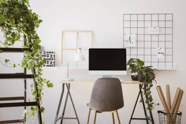 Beyaz daire iç taze bitkiler ile gerçek fotoğraf, sepeti, duvar ve ahşap masa boş ekran monitör ve lamba ile Organizatör Kağıt rulolar
