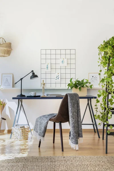 Silla Con Manta Escritorio Con Lámpara Plantas Interior Del Freelancer — Foto de Stock