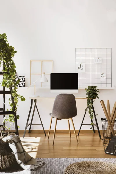 Planta Lâmpada Branca Computador Desktop Mesa Interior Freelancer Com Cadeira — Fotografia de Stock