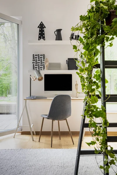 Roślin Drabinie Biały Biura Domowego Wnętrza Okna Szary Krzesło Biurko — Zdjęcie stockowe