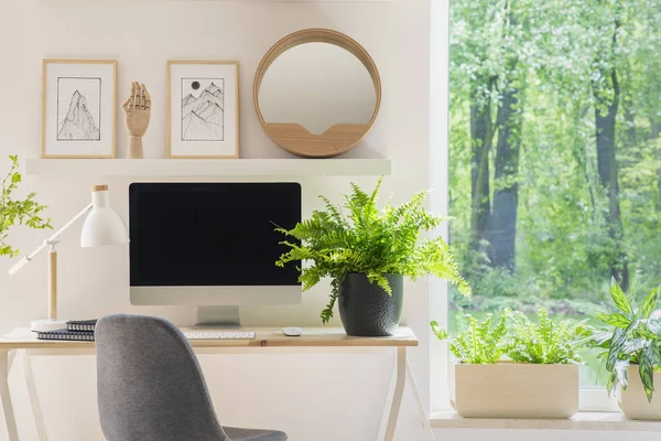 Silla Gris Escritorio Con Planta Interior Oficina Casa Brillante Con — Foto de Stock