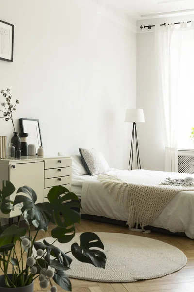 Monochromatic Woman Bedroom Interior White Beige Furniture Bed Drawer Cabinet — Stock Photo, Image