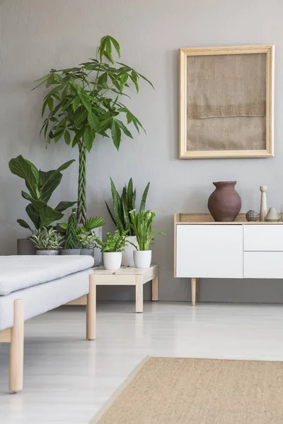 Echtes Foto Vieler Frischer Topfpflanzen Auf Holzplattform Grauen Skandinavischen Wohnzimmer — Stockfoto