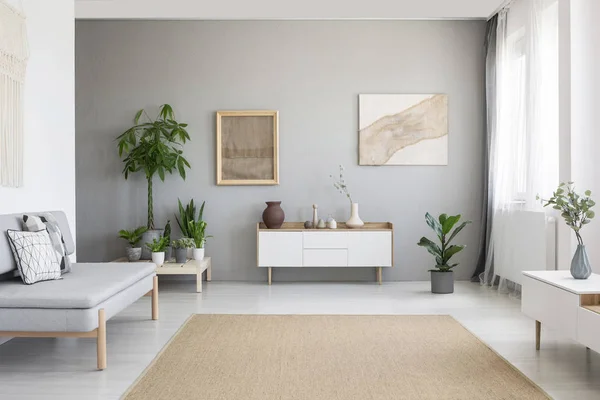 明亮北欧风格客厅的真实照片室内有新鲜的植物 白色的橱柜 窗帘的窗户 灰色的沙发和地板上的大地毯 — 图库照片