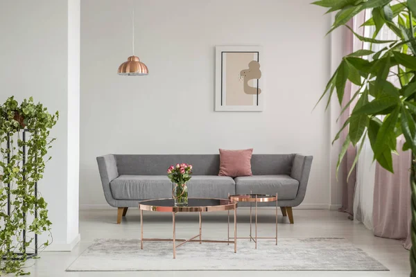 Nahaufnahme Von Blättern Einem Eleganten Wohnzimmer Mit Einer Grauen Couch — Stockfoto