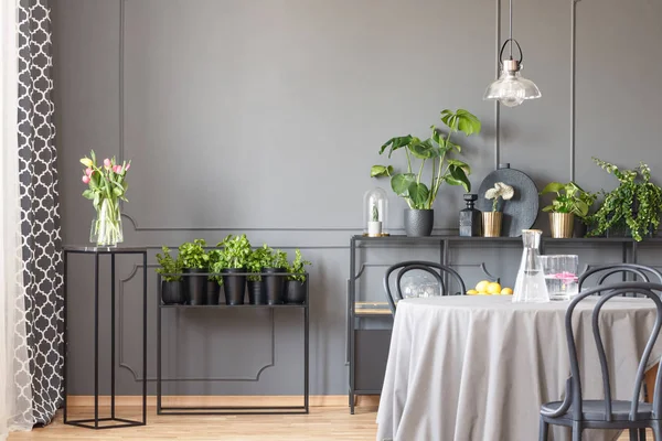 Virágok Fekete Asztal Mellett Szürke Étkező Székek Lámpa Belső Növények — Stock Fotó