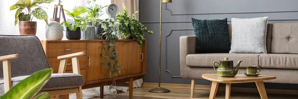 Armoire Bois Avec Des Plantes Fraîches Horloge Debout Dans Salon — Photo