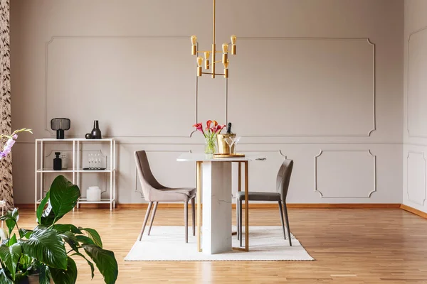 Planten Buurt Van Stoelen Aan Tafel Met Bloemen Moderne Grijze — Stockfoto