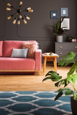 Karanlık oturma odası iç modern lamba, duvar, taze bitki ve toz pembe kanepe yastıkları gerçek fotoğraf ile posterler