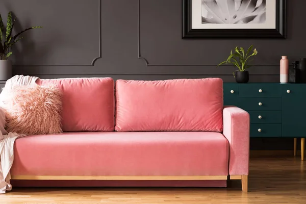 Sofá Rosa Con Almohadas Interior Sala Estar Gris Con Cartel — Foto de Stock