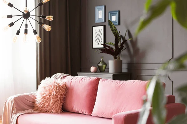 Лампа Над Розовым Диваном Подушками Интерьере Гостиной Плакатами Растениями Настоящее — стоковое фото
