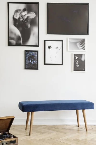 海军蓝色长凳反对白色墙壁与画廊海报在客厅内部 真实照片 — 图库照片