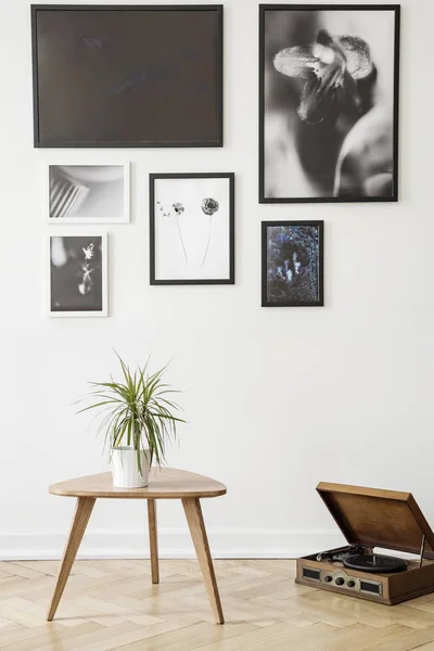 Planta Sobre Mesa Madera Junto Tocadiscos Salón Vintage Interior Con — Foto de Stock