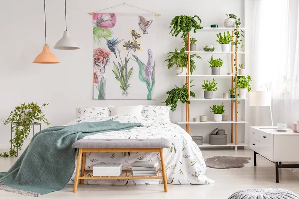 靠近自然明亮的卧室内部 床上覆盖着白色床单和海毯 在床旁边的架子上放着绿色的植物 真实照片 — 图库照片
