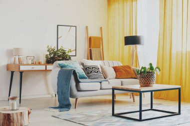 Masada oturma grubu poster ve turuncu perdeler ile düz iç mavi battaniye önünde bitki. Gerçek fotoğraf