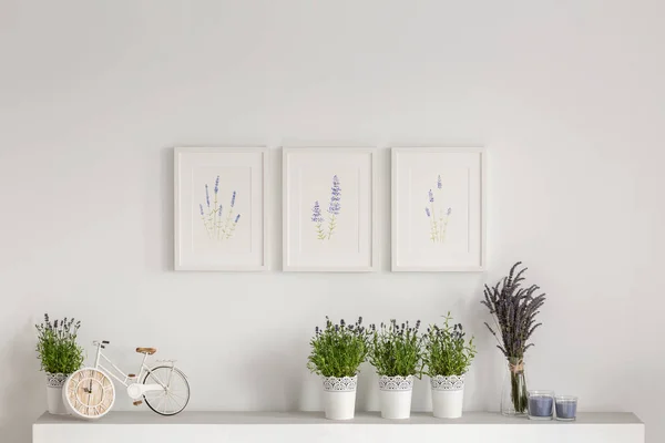 Květiny Skříň Proti Bílé Zdi Plakáty Interiéru Minimální Obývacího Pokoje — Stock fotografie