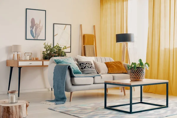 Orange Drapes Plant Wooden Table Living Room Interior Blue Blanket — Stock Photo, Image