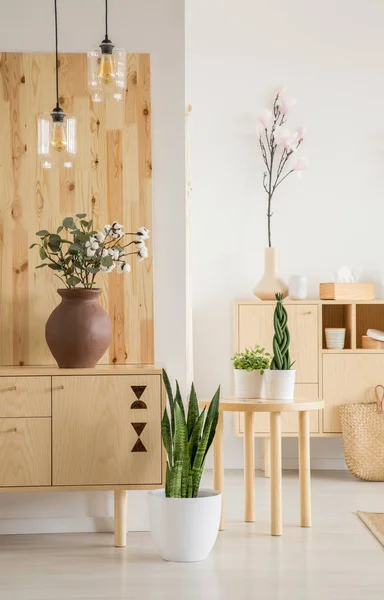 Real Photo Plants Wooden Living Room Interior — Stock Photo, Image