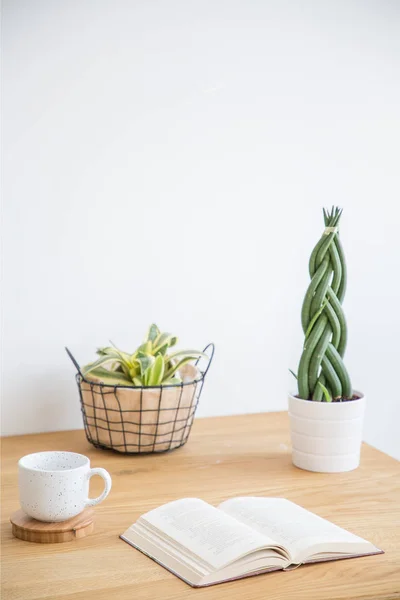 Könyv Növények Asztal Egyszerű Fehér Munkaterület Belső Csésze Kávé Valódi — Stock Fotó