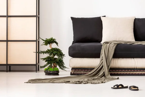 Tæppe Puder Sort Sofa Asiatisk Stue Interiør Med Sko Bonsai - Stock-foto