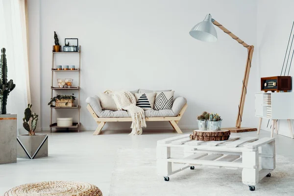 Cacti Wooden Table White Modern Living Room Interior Sofa Next — Stock Photo, Image
