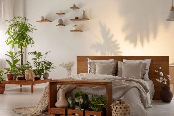 Planten Naast Houten Bed Met Kussens Botanic Slaapkamer Interieur Met — Stockfoto