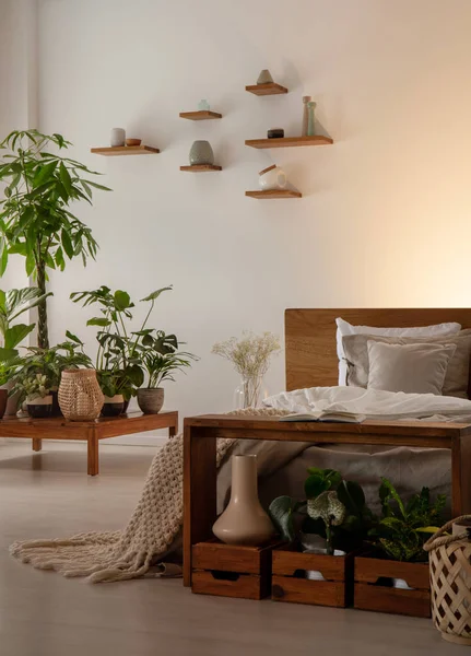 Kleine Planken Planten Bed Een Slaapkamer Interieur Echte Foto — Stockfoto