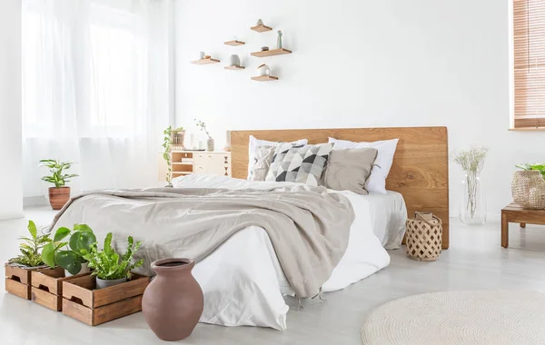 Almohadas Sábanas Cama Madera Interior Del Dormitorio Luminoso Con Plantas — Foto de Stock