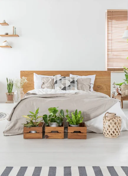 Real Photo Cozy Bedroom Interior Double Bed Plants Wooden Boxes — Stock Photo, Image