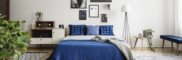 Véritable Photo Intérieur Éclectique Chambre Coucher Avec Des Graphiques Sur — Photo