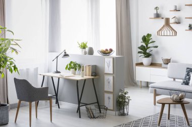 Gerçek bir masa, koltuk ve bitkiler parlak ev ofis iç fotoğrafı