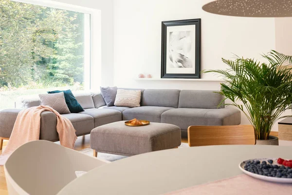 Pink Blanket Grey Corner Couch Open Space Interior Table Poster — Stock Photo, Image