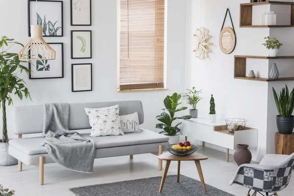 Foto Real Interior Gris Sala Estar Con Sofá Plantas Fruta — Foto de Stock