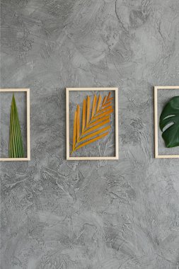 Çerçeveli yaprakları sanat bir tasarımcı daire iç bir gri beton duvara yakın çekim