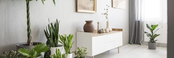 Ceramic Clay Vases White Wooden Cabinet Drawers Green Plants Gray — Stock Photo, Image