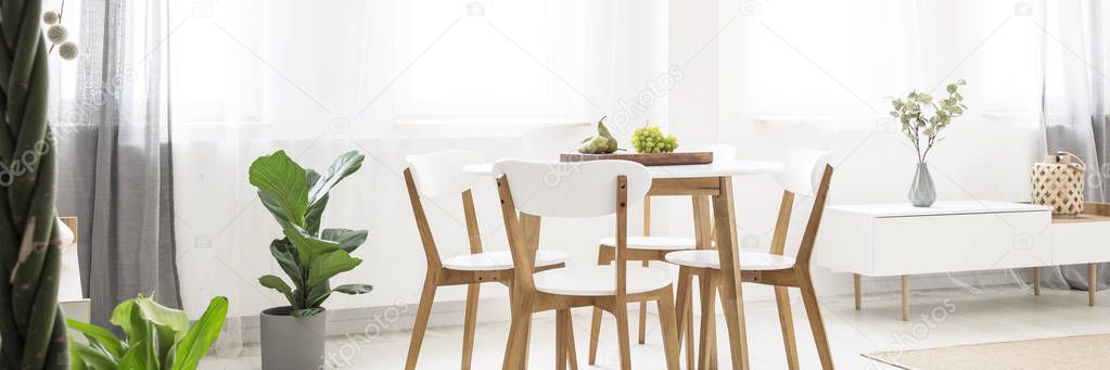 Green plants and fruit in a white dining room interior with scandinavian, wooden furniture and natural light coming through big windows
