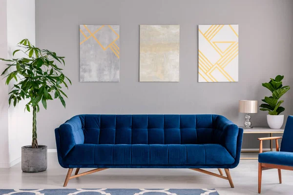 一个深蓝色天鹅绒沙发在灰色墙壁前面与图画绘画在现代客厅内部 真实照片 — 图库照片